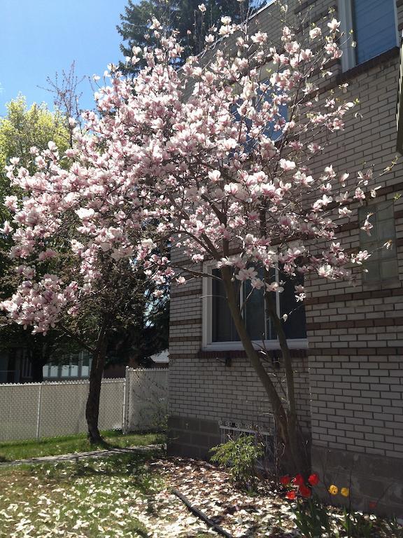 Magnolia B&B Granby Dış mekan fotoğraf