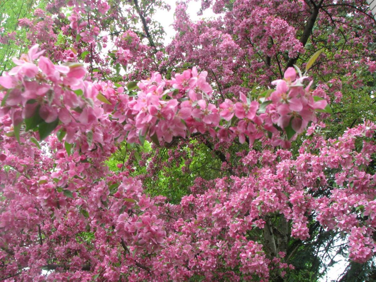 Magnolia B&B Granby Dış mekan fotoğraf